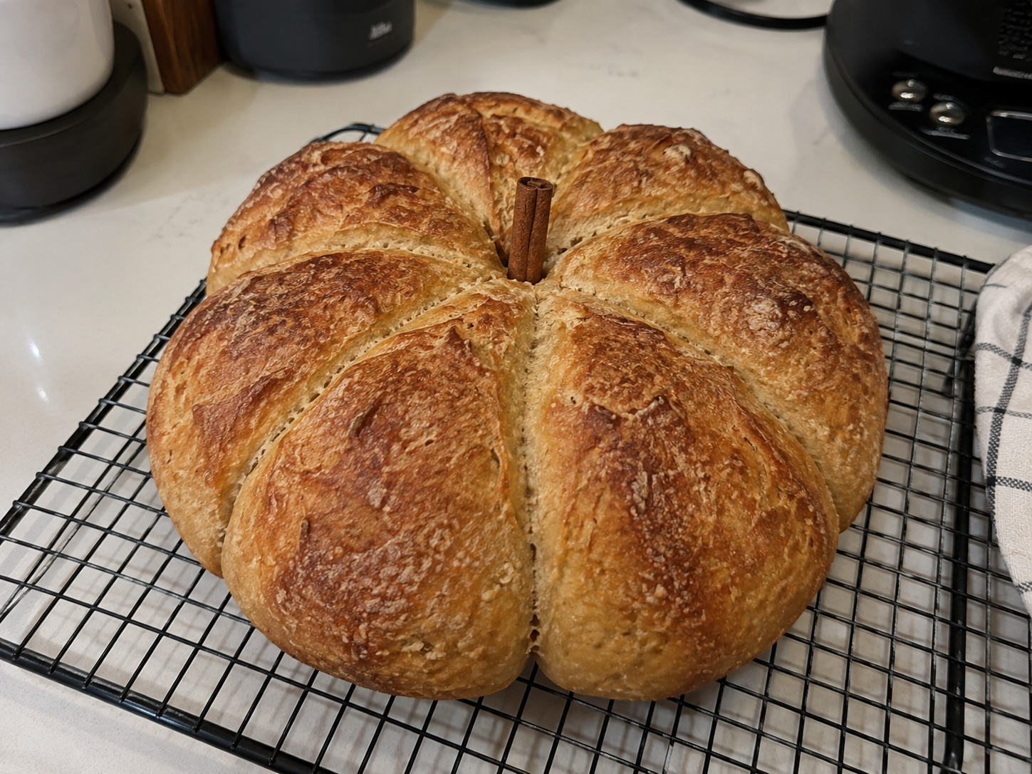 Pumpkin-Shaped Sourdough Bread 🎃🍞