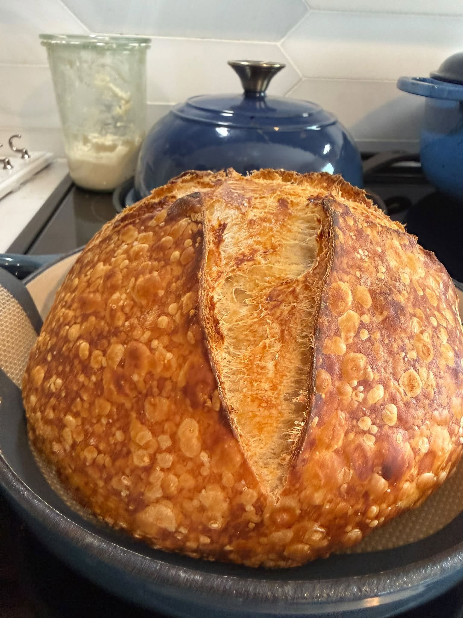 Rustic Artisan Sourdough Bread with a Golden Blistered Crust