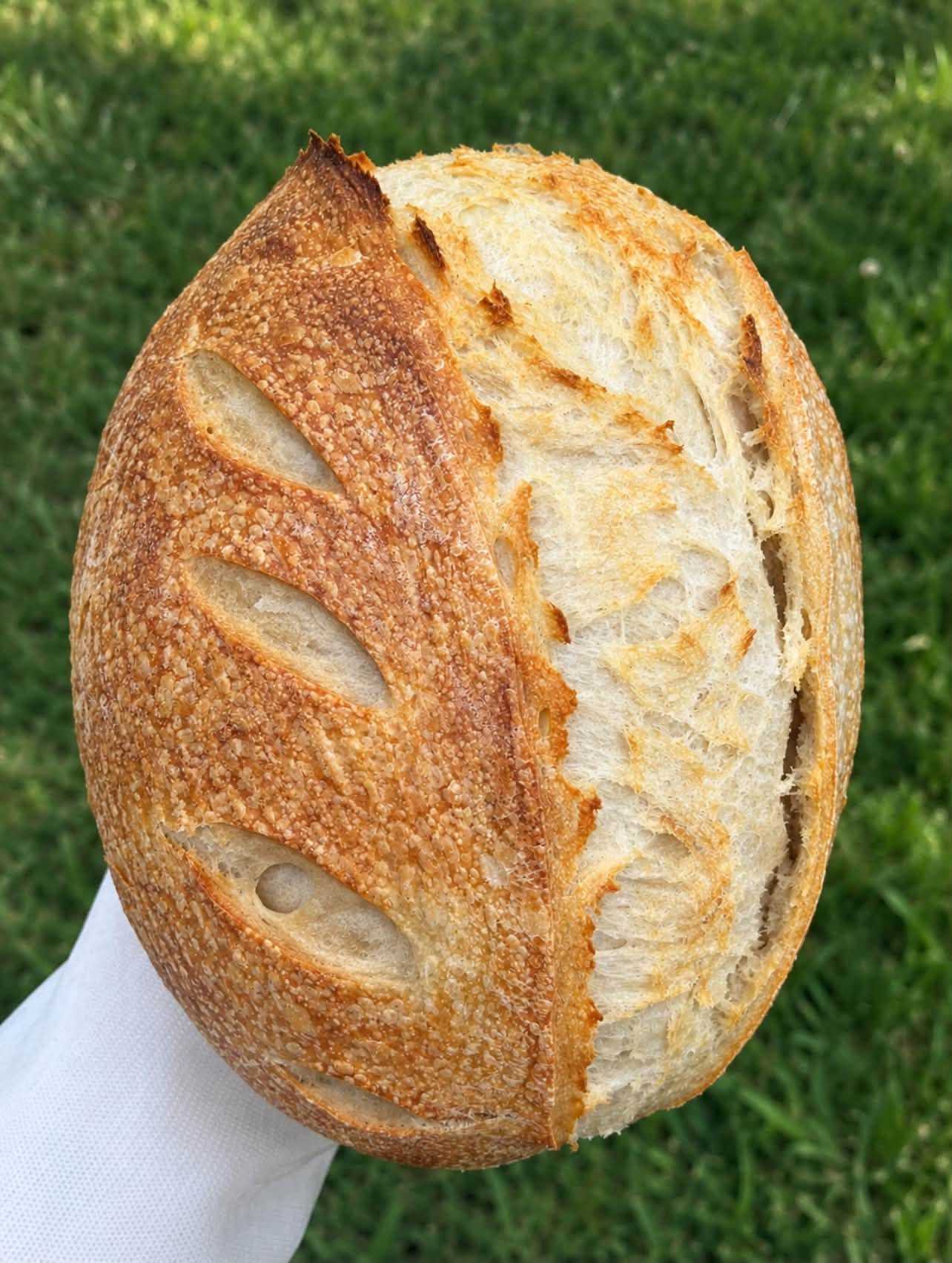 Rustic Artisan Sourdough Bread Recipe: Crisp Crust, Open Crumb & Beautiful Scoring
