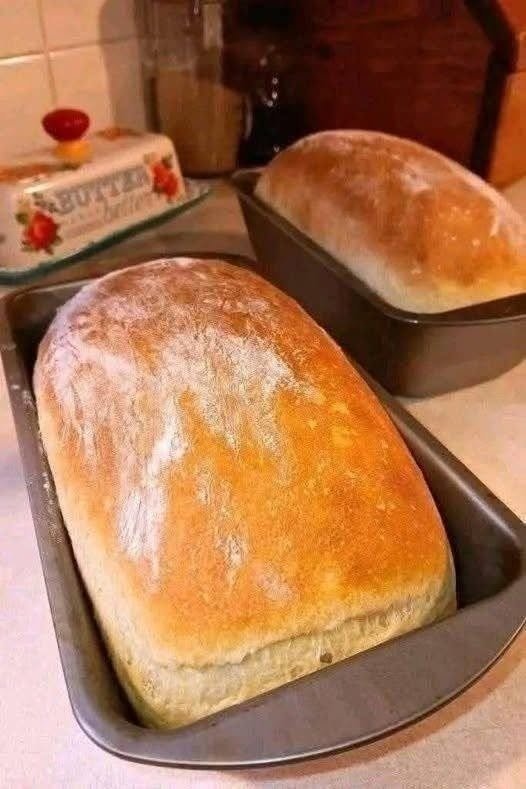 No-Knead Homemade Sandwich Bread