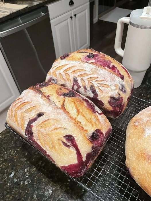 Homemade Blueberry Sourdough Bread: Crusty, Chewy, and Full of Berries